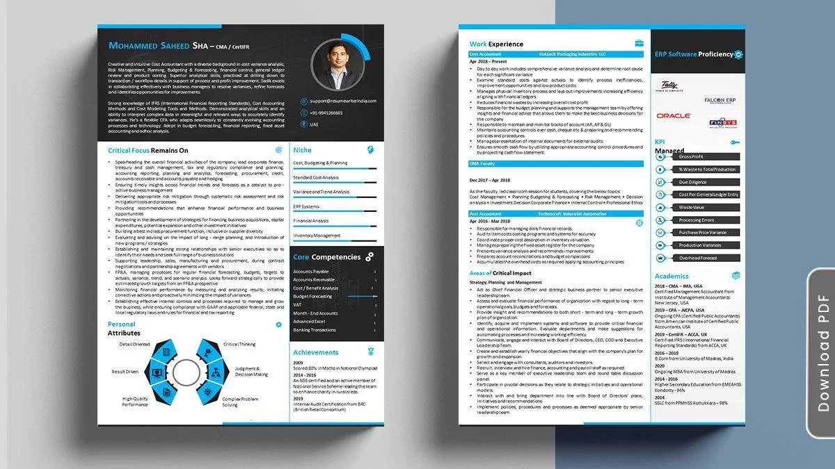 Professional CV